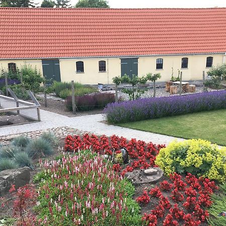 Birkende Bed And Breakfast Langeskov Esterno foto