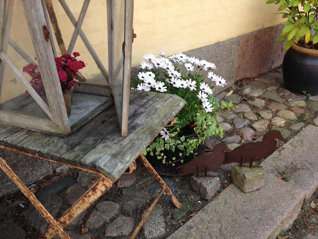 Birkende Bed And Breakfast Langeskov Esterno foto