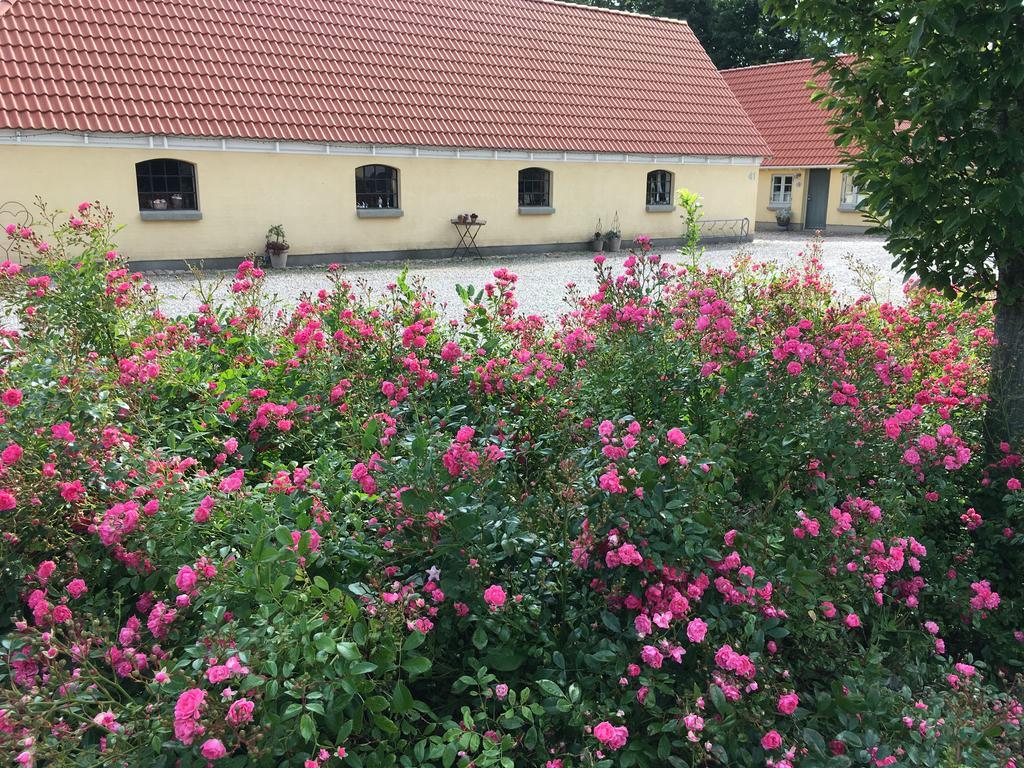 Birkende Bed And Breakfast Langeskov Esterno foto